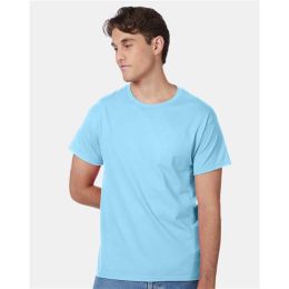 Hanes 5250 Unisex Authentic T-Shirt