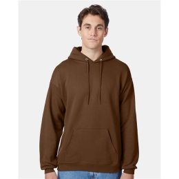 Hanes P170 Unisex EcoSmart® Hooded Sweatshirt