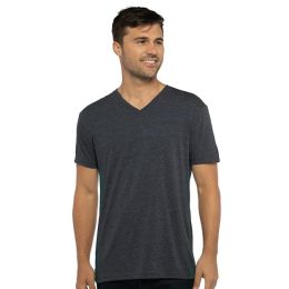 Next Level 6040 Men's Triblend V-Neck T-Shirt