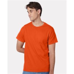 Hanes 5250 Unisex Authentic T-Shirt