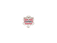 Carmel Towel Company